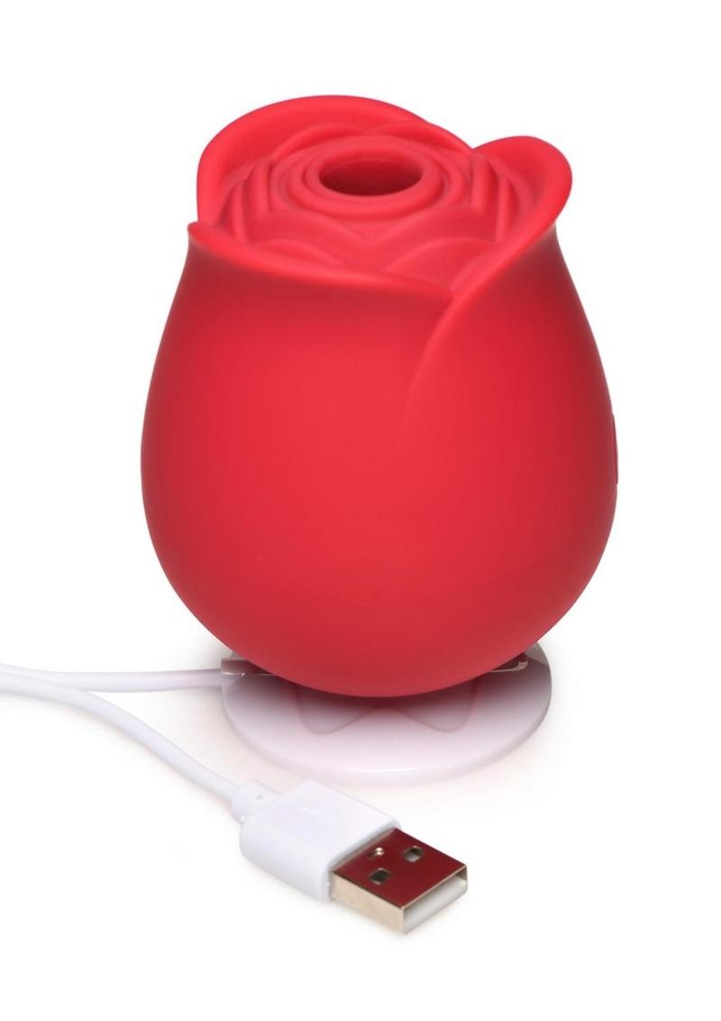 Starter Heat Rose