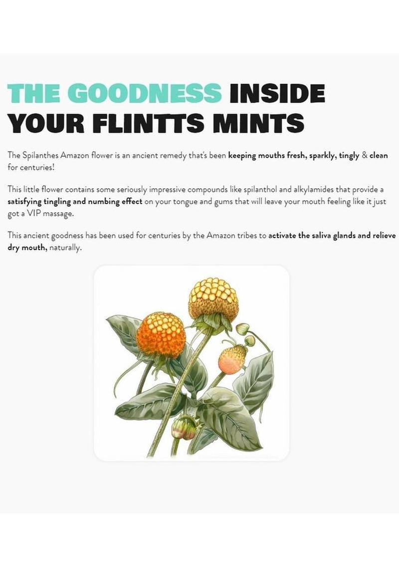 Flintts Mints Mouth Watering Oral Delights - Mints